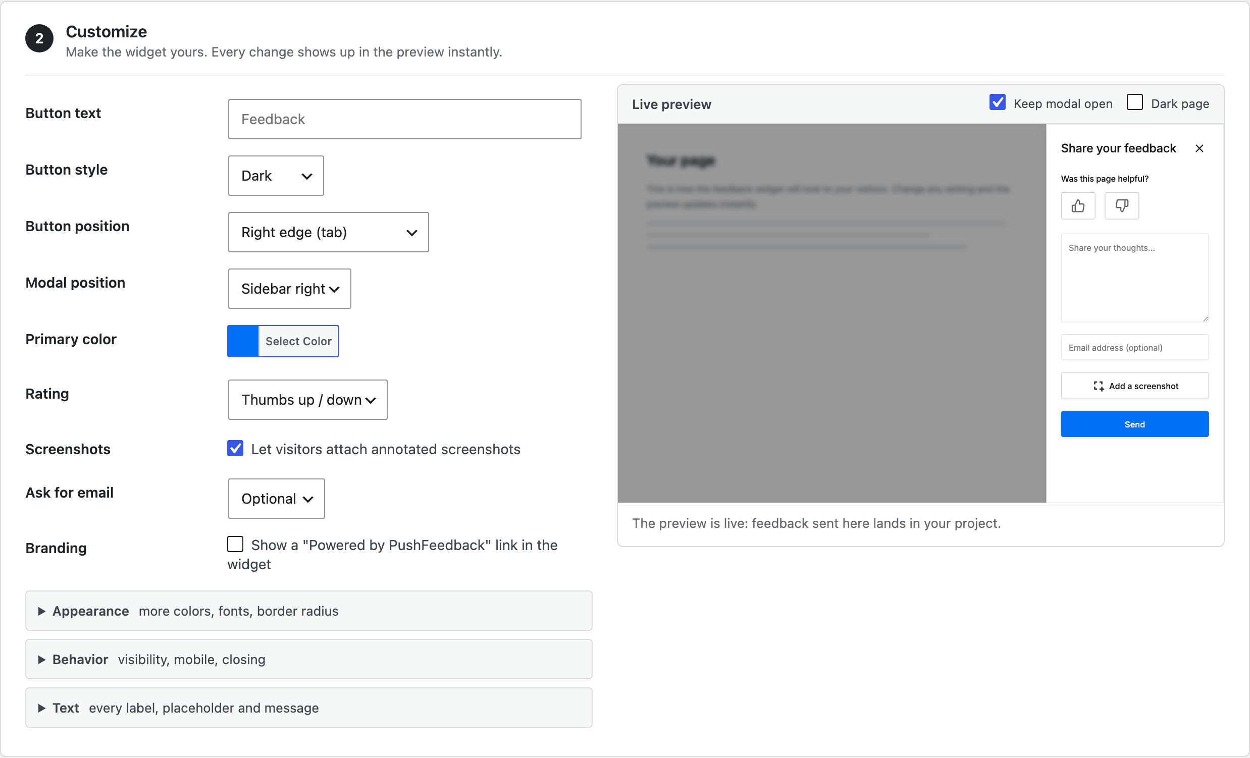 The Customize step, with the widget fields on the left and the live preview beside them
